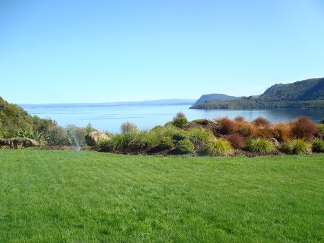 Taupo Lawn