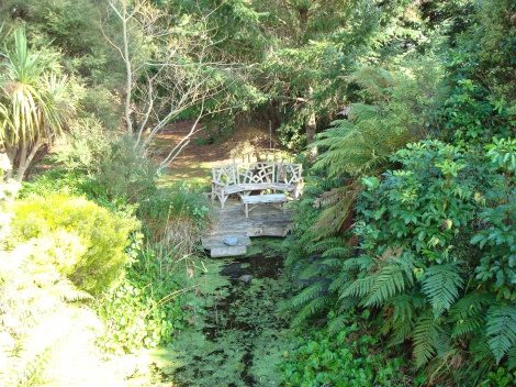 Taupo Landscape