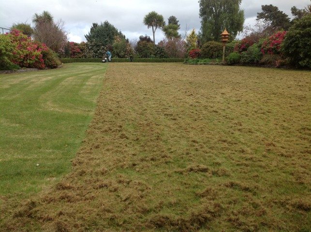 Specialised Equipment for your Lawn